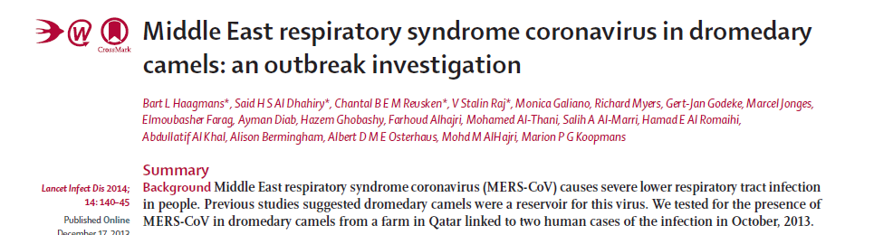 Katar Deve çiftliğinde çalışan 2 hasta 14 devenin hepsinde nötralizan antikor (+) 6 deve nazal sürüntüde