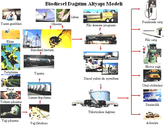 biyoyakıtın pazar payının %12 ye ulaşmasını hedef göstermişlerdir (Körbitz 1999). Biyodizel molekülü yaklaşık %11 O 2 içermektedir.