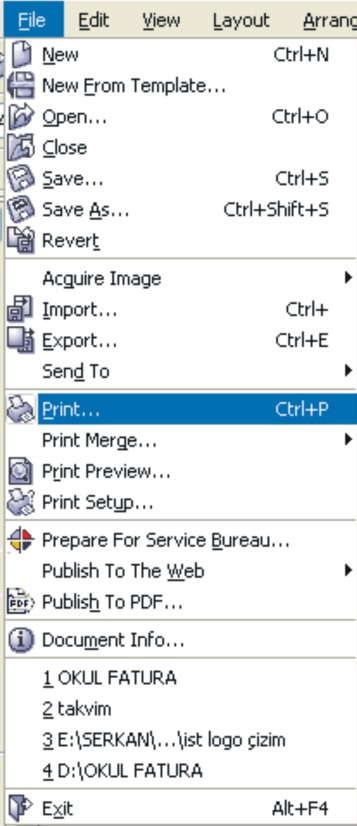 UYGULAMA FAALĠYETĠ UYGULAMA FAALĠYETĠ ĠĢlem Basamakları File/print komutu ile çıkıģ