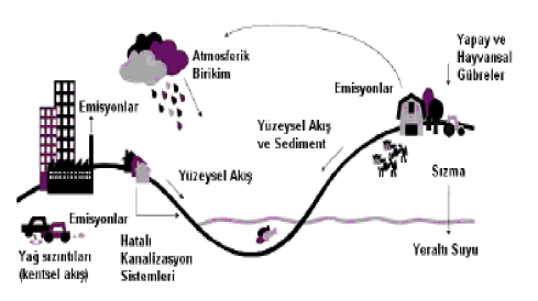 1362 Şekil 2. Amonyum, Nitrat ve Fosforun hesaplanan yıllık toplam miktarları (kg/yıl) Şekil 3 ve şekil 4 te ise Nitrat ve Fosfor parametrelerinin bütündereler için aylık değişimleri görülmektedir.