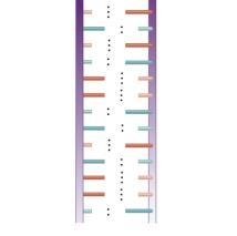 Yarı konservatif DNA replikasyonu Watson ve Crick tarasından ortaya atıldı Watson ve Crick e göre DNA nın kimyasal yapısı ve düzenlemesinden dolayı sarmallardan her biri karşısındaki zincirin