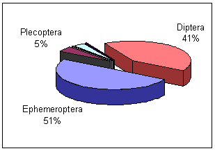 Köprüçay Irmağı (Antalya) Bentik Omurgasız Faunası Çizelge 1. (devam) Pedicia sp. * * Chironomus sp. * * * * * * * Elephantomyia sp. * Dixella sp. * Liponeura sp. * * * Hybomitra sp. * Chaoborus sp.