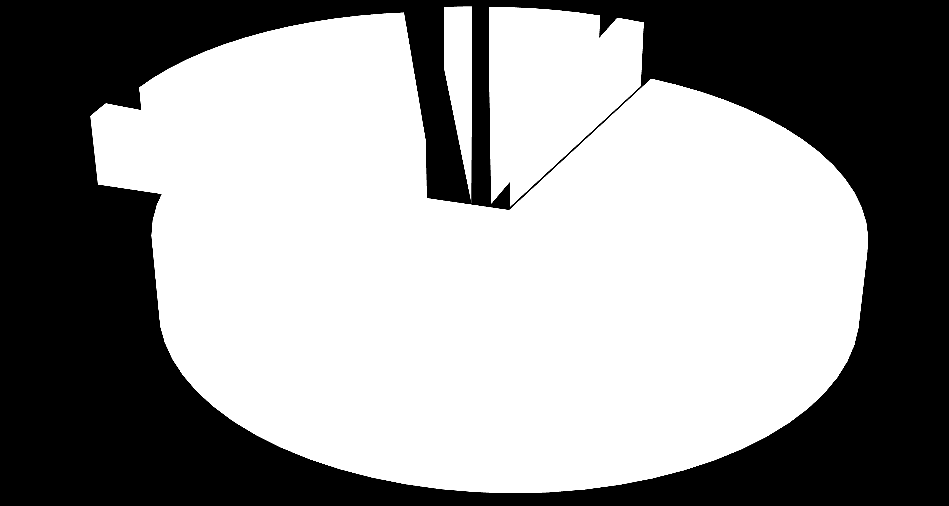 G.3. İdari Yaptırımlar Çizelge G.