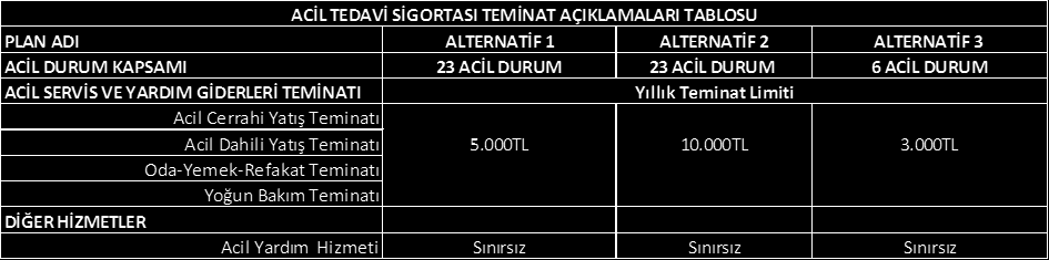 Her yenileme döneminde yukarıda ifade edilen bu risk parametreleri analiz edilerek poliçenin primi güncellenmektedir. 11. Ürüne ait tüm teminatlar ve içerikleri aşağıda belirtilmiştir.