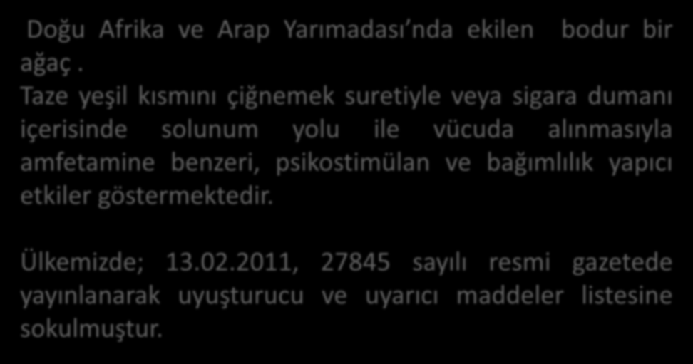 Khat Doğu Afrika ve Arap Yarımadası nda ekilen bodur bir ağaç.