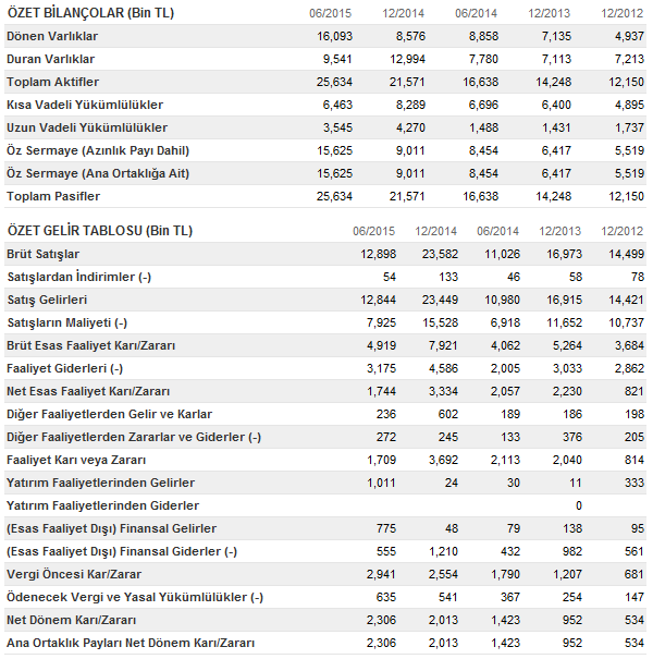 ÖZET BİLANÇO VE GELİR TABLOLARI