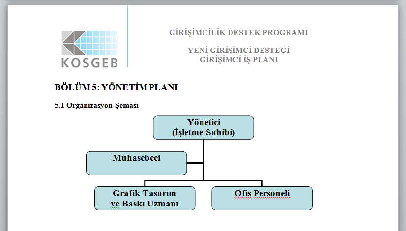 5.1 Organizasyon