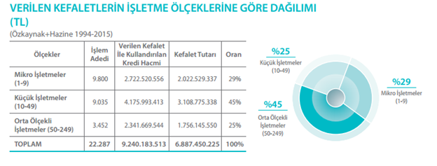 destekleyen yapılardır. Bu sistemler, çoğunlukla kredi riskinin belli bir yüzdesini üstlenmekte olup, finansal kuruluşlarla riski paylaşmaktadırlar.