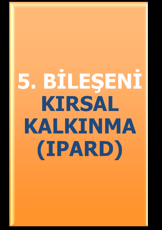 4 IPA ADAY ÜLKELER İÇİN IPA BİLEŞENLERİ NELERDİR? 1.