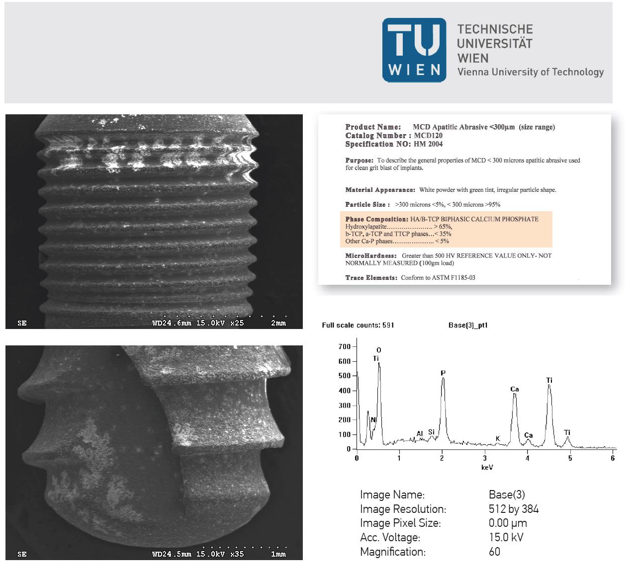 YÜZEY ELEMENTSEL ANALİZ RAPORU SURFACE ELEMENT ANALYSIS REPORT Viyana Teknik Üniversitesi laboratuarlarında gerçekleştirilen test kapsamında SEM(Scanning Electron Microscope) cihazının, EDS