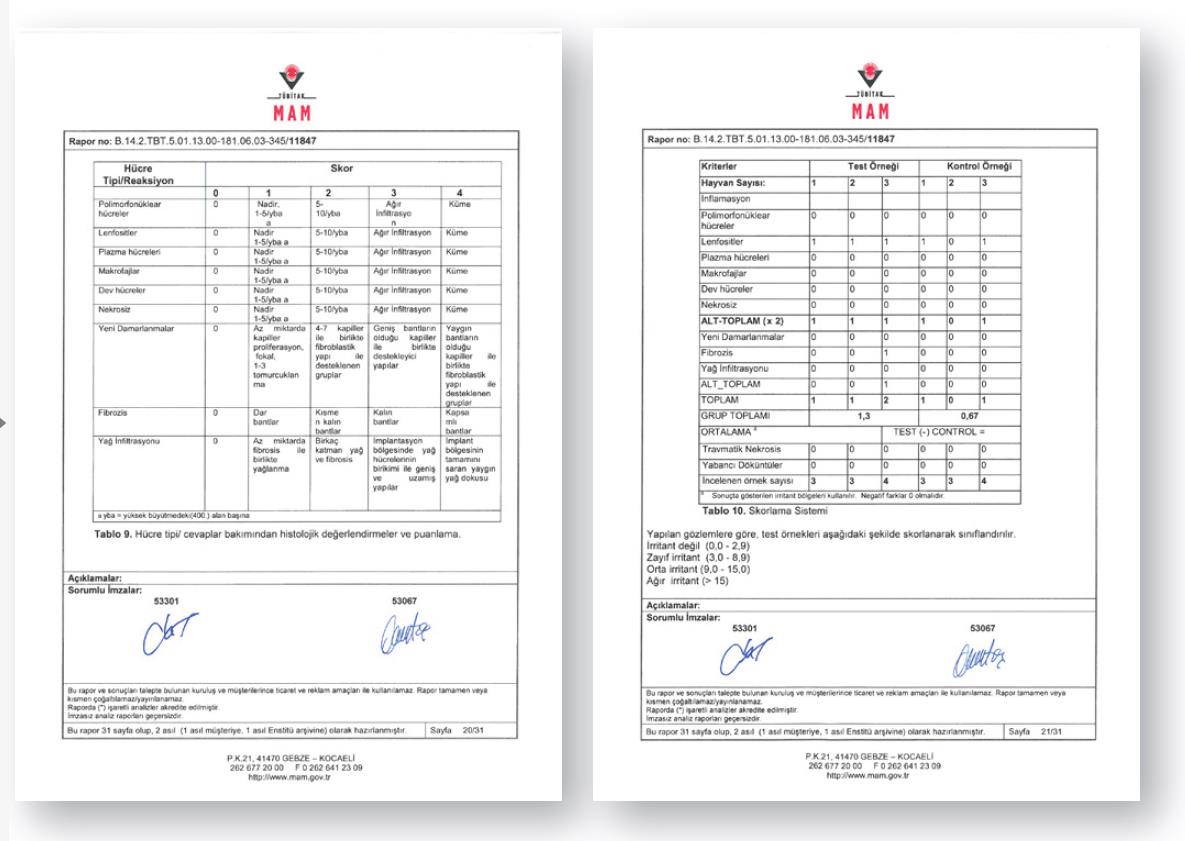 İMPLANTASYON TEST RAPORU IMPLANTATION TEST REPORT Test, 3 adet Rat/Sprague Dawley üzerinde yapılmıştır.