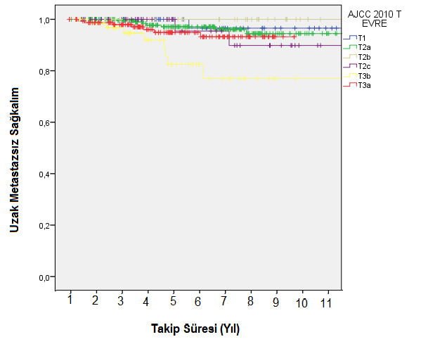 : Şekil 4.23 T Evresine Göre Uzak Metastazsız Sağkalım Tablo 4.13. T Evresine Göre Uzak Metastazsız Sağkalım Anlamlılığı T1 T2a T2b T2c T3a T3b T1 - P= 0.6 P= 0.37 P= 0.4 P= 0.3 P= 0.01 T2a P= 0.