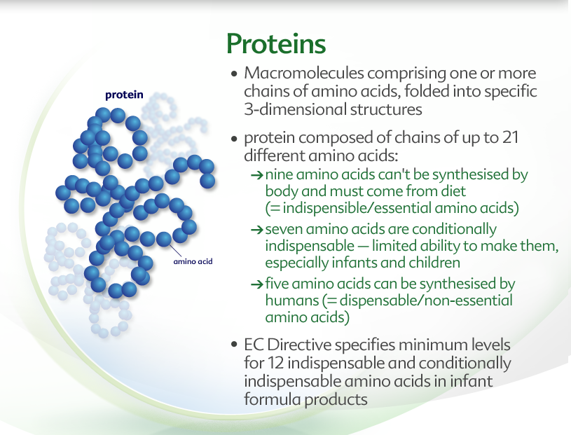 PROTEİN Bir veya daha fazla amino asitin biraraya gelmesinden oluşan,3 boyutlu yapıda makromoleküllerdir Protein zincirlerden (21 farklı aminoasit) oluşan bir bileşimdir -9 aminoasit esansiyeldir,