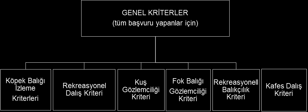 2. Çoklu küçük ihlaller, üç kriterden iki kriterin tekne yolcusunun, çalışanlarının veya çevrenin sağlığına ve emniyetine küçük bir etki gösterecek kısımlarının ihlali durumunda söz konusu olur.