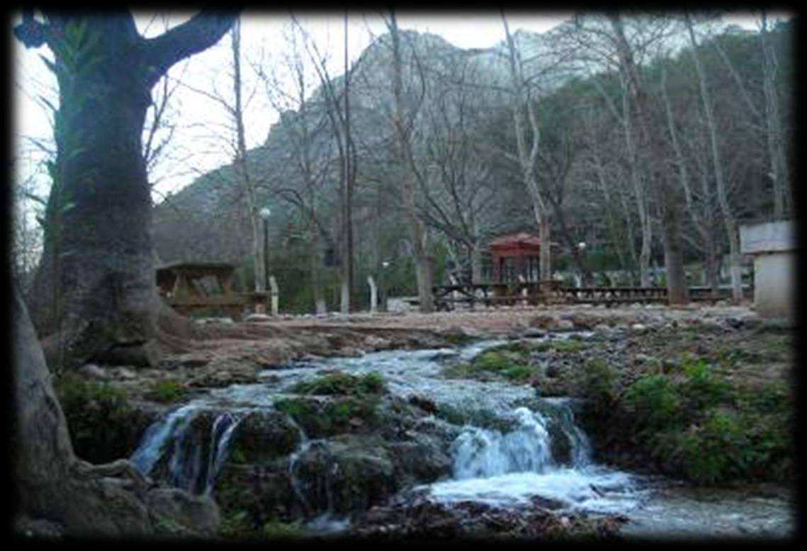 1.2. Dağlıcak Tabiat Parkı ( Günübirlik ): Kozan Adana merkezine 95 km mesafede bulunan Kozan-Dağılcak Tabiat Parkı, Adana-Feke güzergahında olup, Kozan a 15