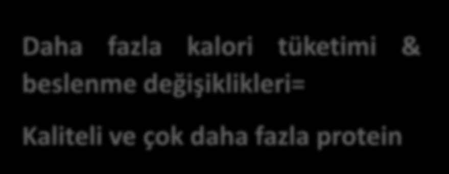 2050 yılına kadar küresel gıda talebinin yaklaşık % 70 artacaktır.