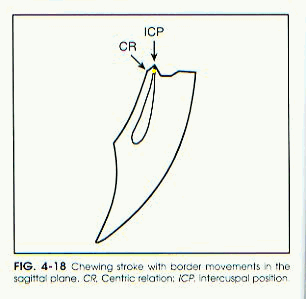 4.İnhibisyon ve işlevsel kontraksiyon refleksleri yutkunma fonksiyonu sonuna kadar devam eder. Parotis, submandibular ve sublingual bezler tükürük salınımını sağlarlar. 5.