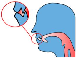 1. DUDAK SESLERİ: M, B, P sesleri tam dudak sesleridir. M sesi ağız ve burun ortak sesidir. 1. DUDAK-DİŞ SESLERİ: V ve F sesleridir.