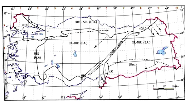 Akdeniz subtropikal; Anadolu nun orta ve doğu bölgeleri, kıtaların iç kısımlarında hüküm süren karasal iklimlerin toplandığı bir ülkedir.