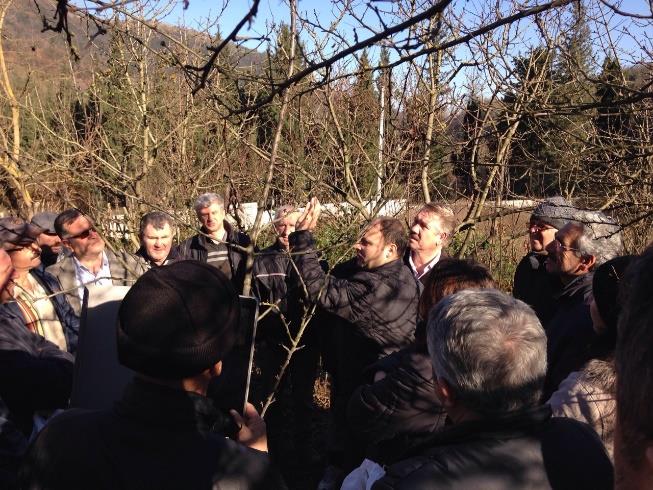 2015 YILINDA DÜZENLENEN ÇİFTÇİ TOPLANTILARI KONU Düzenlenen Toplantı Sayısı Katılan Çiftçi Sayısı Erkek Kiraz Hastalık ve Zararlıları İle Mücadele 2 42 Tarla Faresi Mücadelesi 2 36 Sebze Hastalık ve