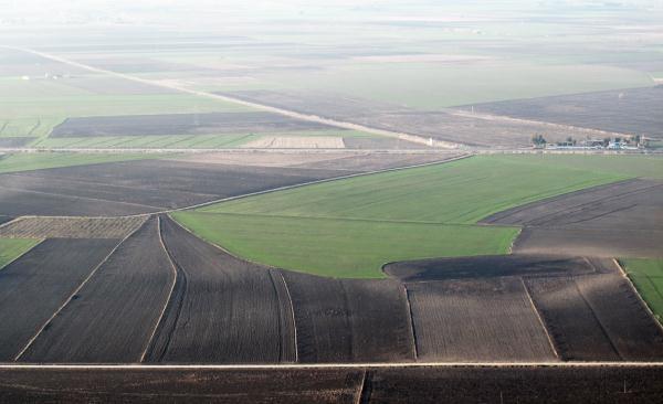 5-Toplulaştırma alanı sınırlarını belirten haritalar hazırlandı ve zorunlu toplulaştırma alanı ilanına ait bilgilendirmeler yapıldı.