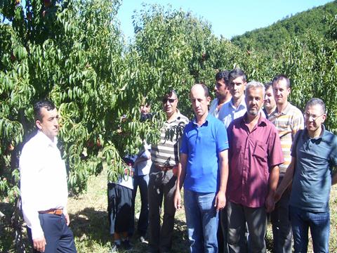 ŞEFTALİ ENTEGRE MÜCADELE ÇALIŞMALARI 2015 yılında Karamürsel ilçesi Akçat köyünde 10 bahçede toplam 90 dekarlık alanda çalışma yapılmıştır.