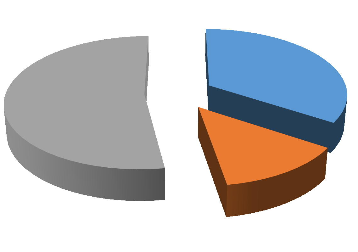 e-fatura Özel Entegratör 2015 YILI 6.881 10.