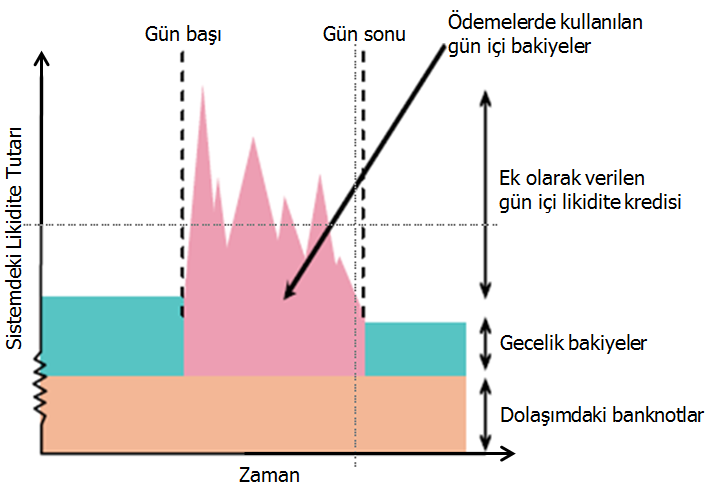 Gün İçi Likidite Bir finansal kuruluşun ödeme yükümlülüklerini yerine getirmek üzere gün içerisinde sahip olduğu ya da borç alabileceği fonlardır.