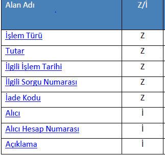 NOSTRO SERVİS İŞLEYİŞİNDE YAŞANILAN SORUNLAR 4.