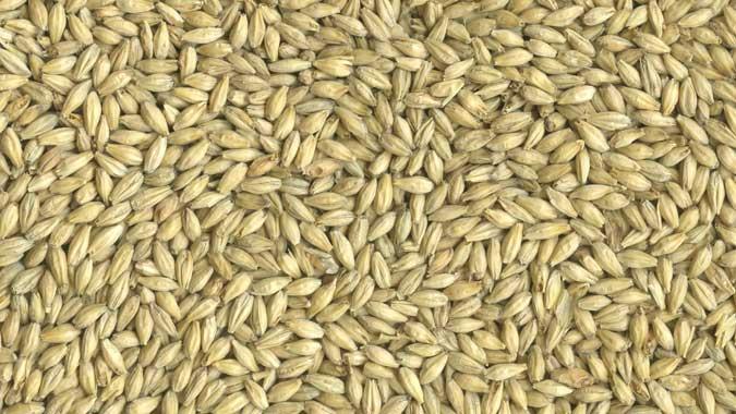 Maltoz (malt şekeri) Çimlenmiş arpada, malt ekstraktı ve nişasta