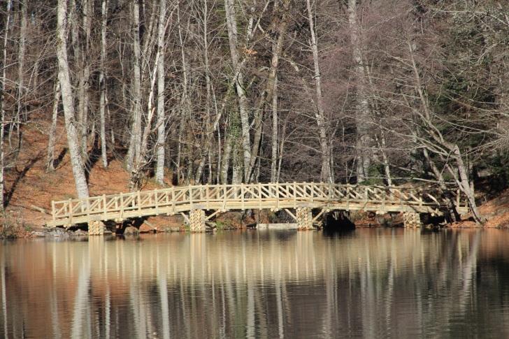 Yedigöller yöresi, 29 Nisan 1965 yılında Milli Park olarak ayrılmıştır. Bolu Yedigöller Milli Parkı 1642 ha. alandır. Bolu İline 42 km uzaklıktadır.