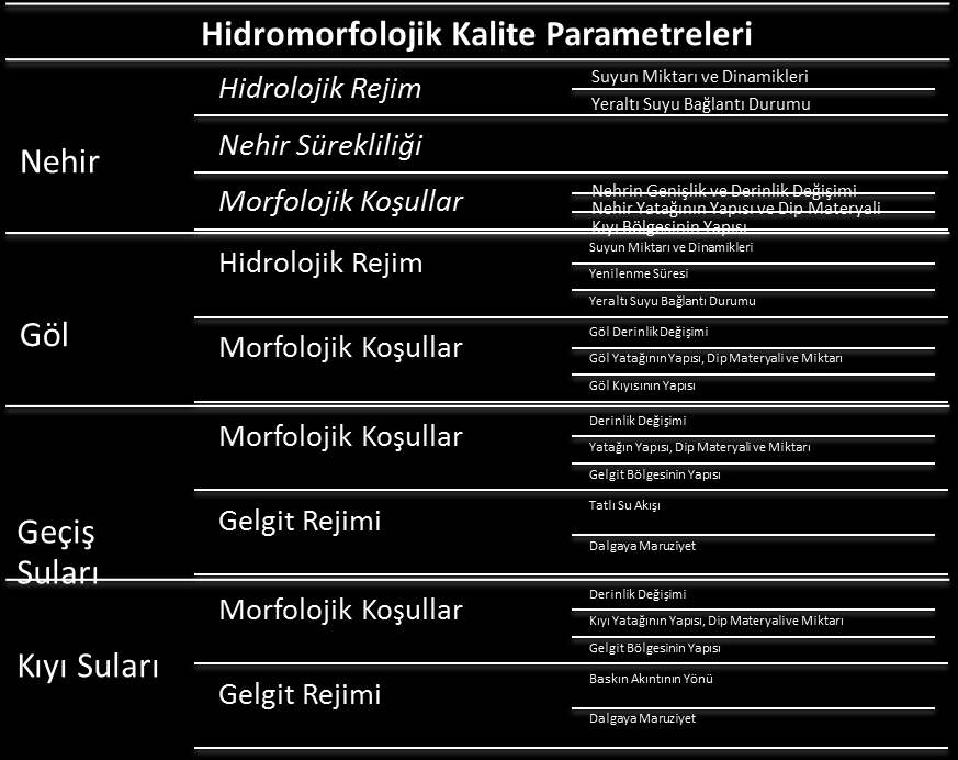 Özlem Sıla OLĞUN: Sayın Başkanım Hidromorfolojik İzlemenin Su Çerçeve Direktifin deki Yeri Nedir?