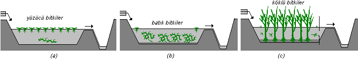 2.5 Yapay Sulakalanlar Yapay sulakalanlar doğal bir ekosisteme olan deşarjla ilgili kısıtlamalar olmaksızın doğal sulakalanlardaki mevcut tüm arıtıma yeteneğini bünyesinde bulunduran sistemler olup