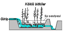 Şekil 2.3 de yatay yüzeyaltı akışlı sulakalan sistemi görülmektedir (Moshiri, 1993).