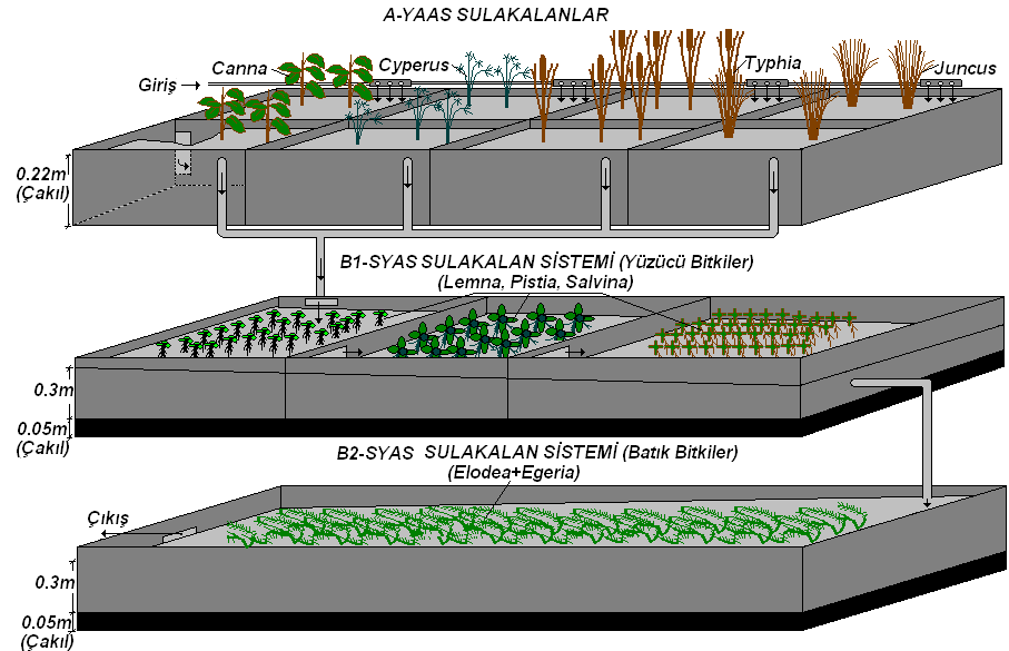 Şekil 4.5: Seri bağlı sistemin şematik görünümü Şekil 4.6: Seri bağlı sistemin fotoğrafı Şekil 4.5 ve Şekil 4.