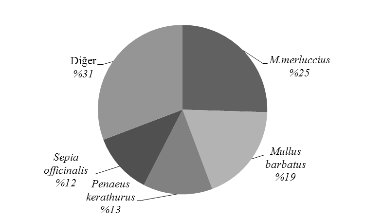 Şekil 47.