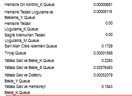 SÖYLER, KOÇ / Bir Kamu Hastanesi İçin Acil Servis Simülasyonu ve Veri Zarflama hemşire sayısı gece ve gündüz 2 kişi olacak şekilde alınmıştır.