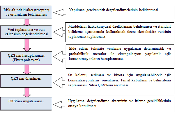 1) Risk altındaki alıcı (reseptör) ve ortamların belirlenmesi 2) Veri toplanması ve veri kalitesinin değerlendirilmesi 3) ÇKS nin hesaplanması (Ekstrapolasyon) 4) ÇKS nin önerilmesi 5) ÇKS nin