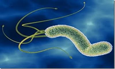 The role of H pylori infection in FD has been controversial, but recent