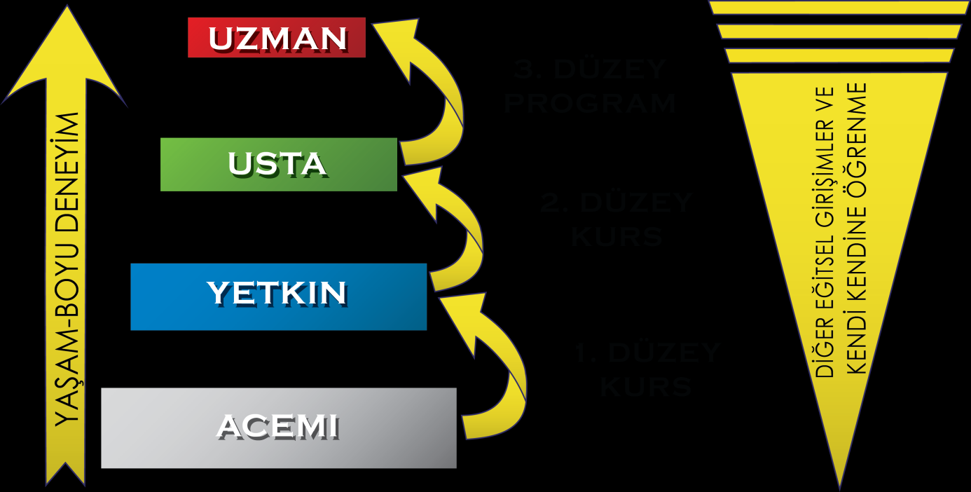 Kurslar, seminerler, konferanslar veya kendi kendine eğitim ve refleksiyon gibi özel eğitim etkinlikleri yoluyla bilgi ve beceri kazanmalıdırlar.