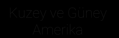 Yabancı Ziyaretçilerin Coğrafî Dağılımı %11 %15 %21 %21 Kuzey ve Güney Amerika %2 %24 %6