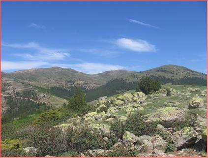 2007 yılında yapılan tahkik çalışmalar sonucu, 2008 yılında 1000 m. olarak planlanan istikşaf sondajlarına devam edilmektedir. Toplam 4 lokasyonda yapılan 866,4m.(24.07.2008 tarihi itibariyle) sondajda yoğun altere zonlarla yer yer dissemine kalkopiritli (Cu) ve piritli seviyeler kesilmiştir.