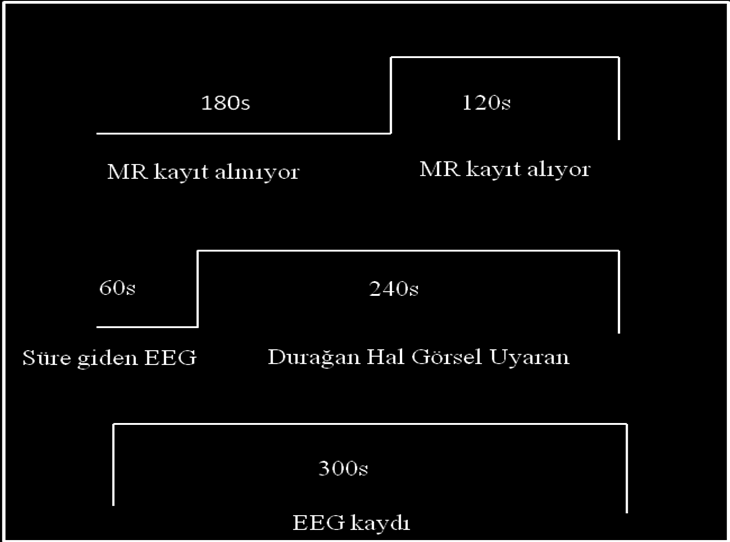 çözünürlüklü yapısal görüntüler standart 3B MPRAGE sekansı kullanılarak elde edildi. DHGUP ler 12Hz ile yanıp sönen difüze ıģık kullanılarak oluģturuldu.