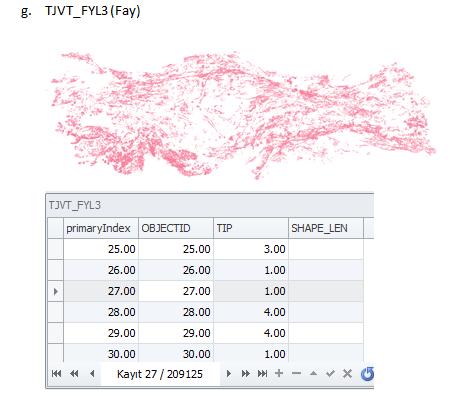 Ulusal Jeoloji Veri Standartları Sonuç Raporu (11.02.