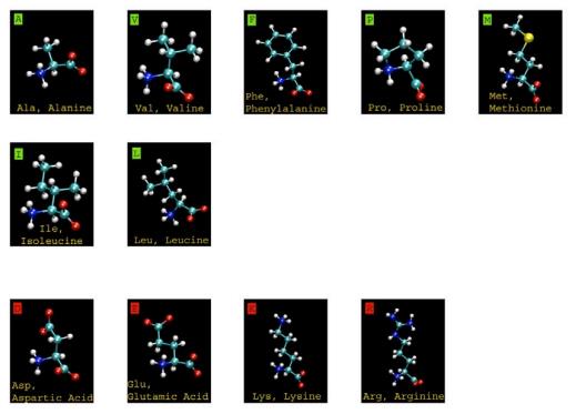 polar olmayan Proteinlerin Birincil