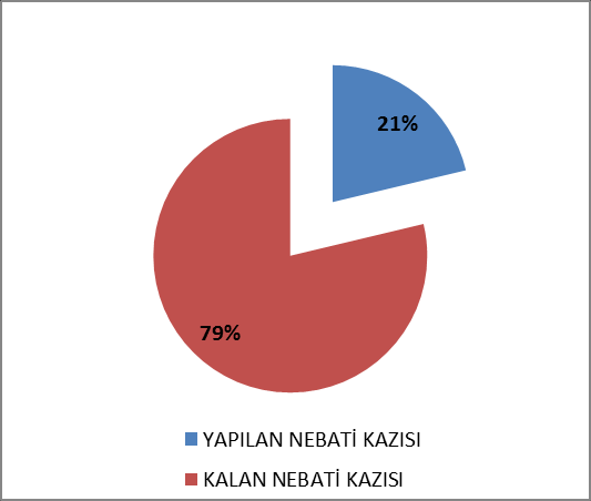 11.1 NEBATİ TOPRAK KAZISI İLERLEME DURUMU 19.06.2012 31.08.