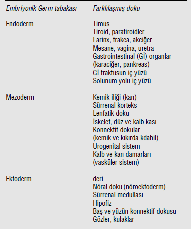 28 Tablo-4. Embriyonik germ tabakalarından farklılaşarak oluşan dokular. Bu tablo Sargın (2010) dan alınmıştır.