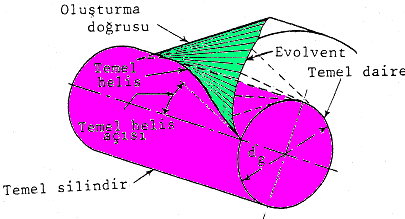 Şekil.6 Silindirik helisel dişli Helisel dişlilerde de dişin yan yüzeyi evolvent profilidir (Şekil.7).