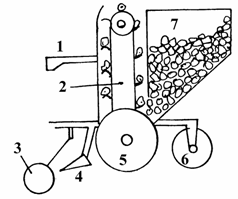 Patates ekim makinaları 233 Kepçeli ekici düzenlere sahip patates ekim makinalarında en önemli organ kepçeli elevatörlerdir. Kepçeler yumru deposundan gelen yumrularla doldurulur.