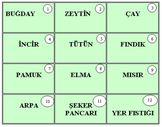 İ. YAPILANDIRILMIŞ GRİD Bu tekniğin en önemli amacı öğrencilerin bilgi seviyesini, eksiklerini ve kavram yanılgılarını tespit etmektir.